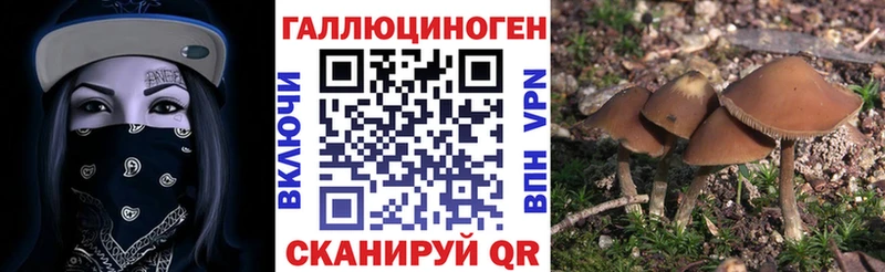 МЕГА ссылка  Новоалтайск  Галлюциногенные грибы мицелий 
